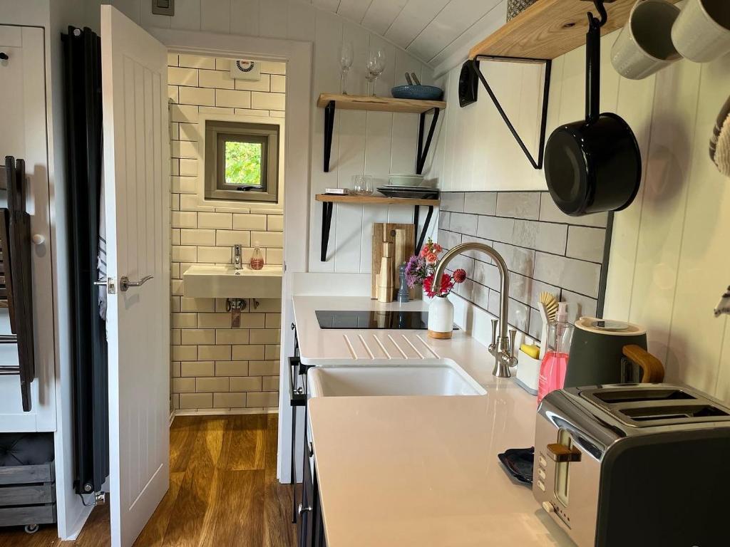 Luxury Shepherds Hut - The Moorhen by the lake 3