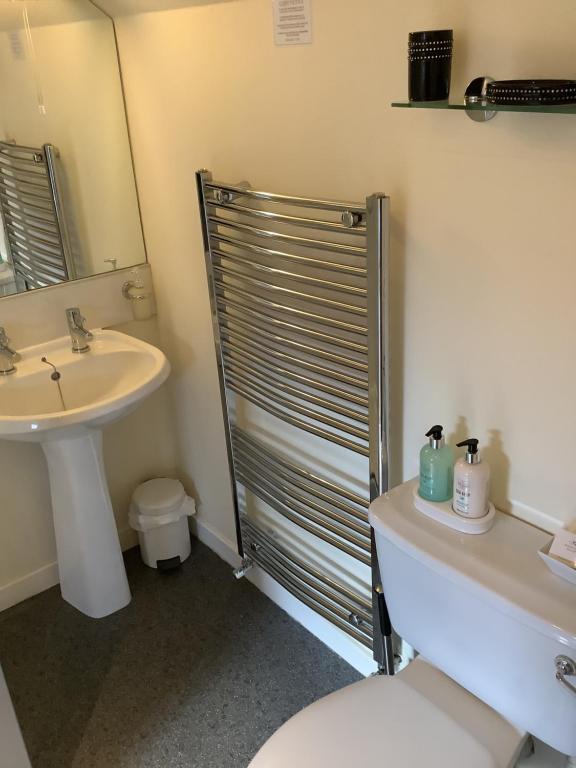 un bagno con wc, lavandino e doccia di Silverstrands a Inverness