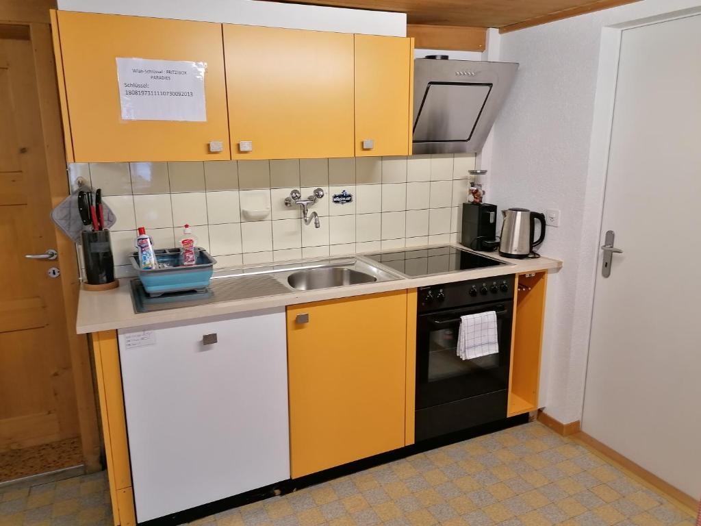 Kuchyň nebo kuchyňský kout v ubytování Ferien im Paradies