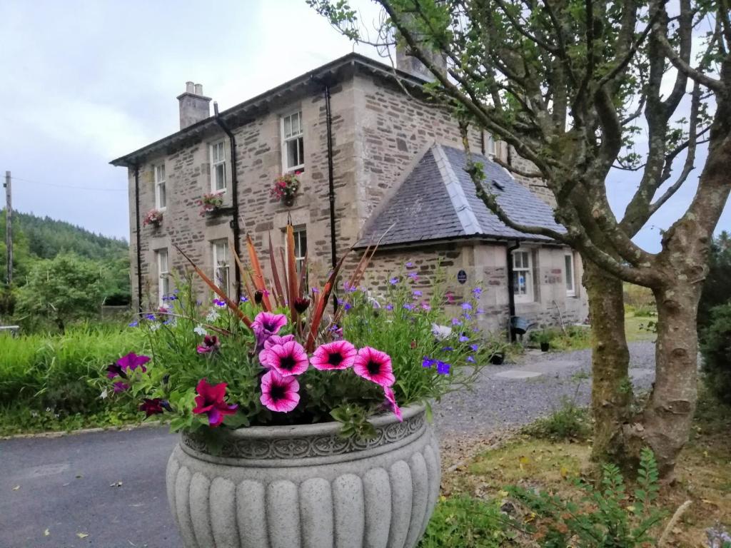 a large pot of flowers in front of a house at Carradales Luxury Guest House in Carradale