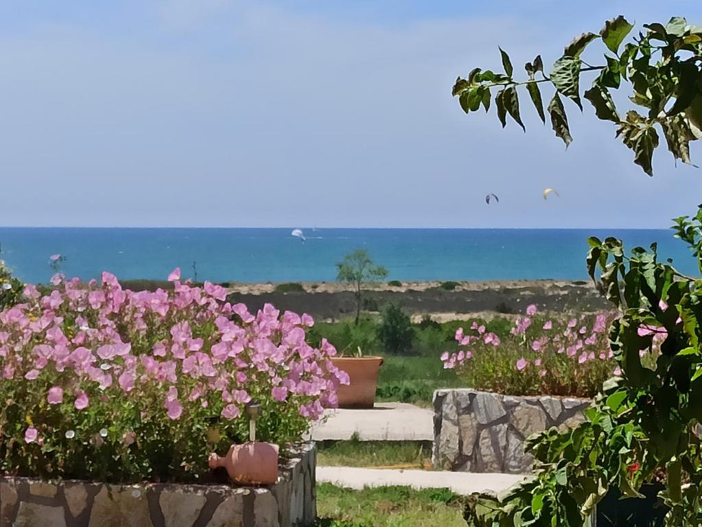 a field of pink flowers with the ocean in the background at Knots apartments in Ágios Nikólaos