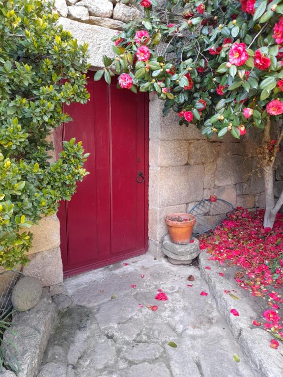 Casa das Freiras - 9