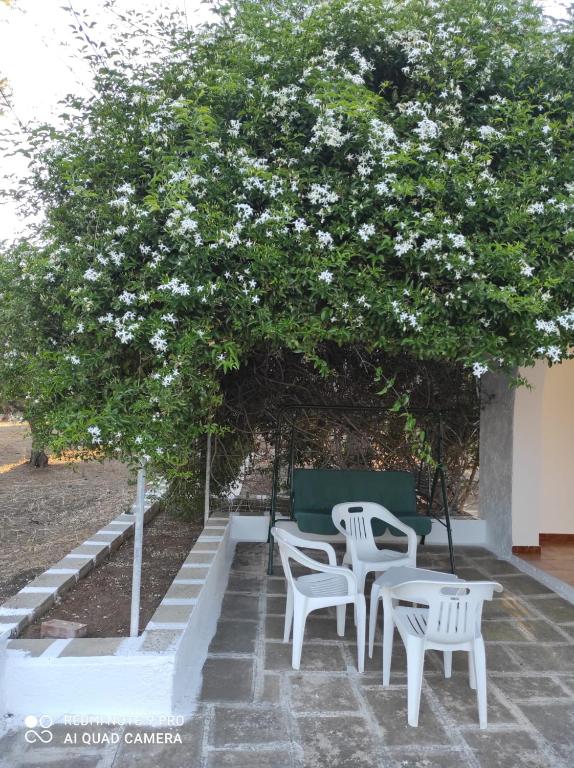 Zahrada ubytování Al Vecchio Trullo