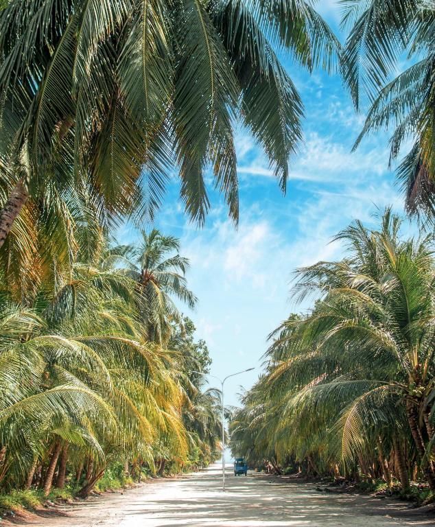 Foto dalla galleria di Sunview Residence a Kaashidhoo
