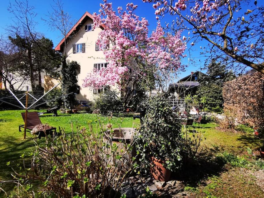 una casa con un árbol con flores rosas en el patio en 70qm 3-Zimmer Apartment am Tauernradweg in Hallein bei Salzburg, nahe Berchtesgaden, Roßfeld, Kehlsteinhaus, Obersalzberg, Watzmann, Schönau am Königsee, Bad Vigaun, Schloss Hellbrunn, Burg Hohen Salzburg, Burg Hohen Werfen # Beherbergungsbetrieb OC45, en Hallein