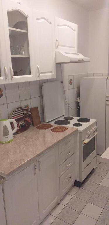 Kuchyň nebo kuchyňský kout v ubytování Apartment Gajic