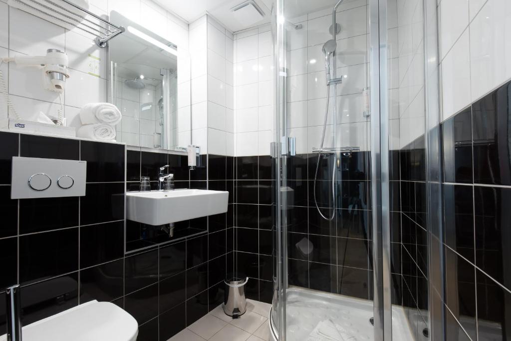 Hotel Albert 1er - Resim 10