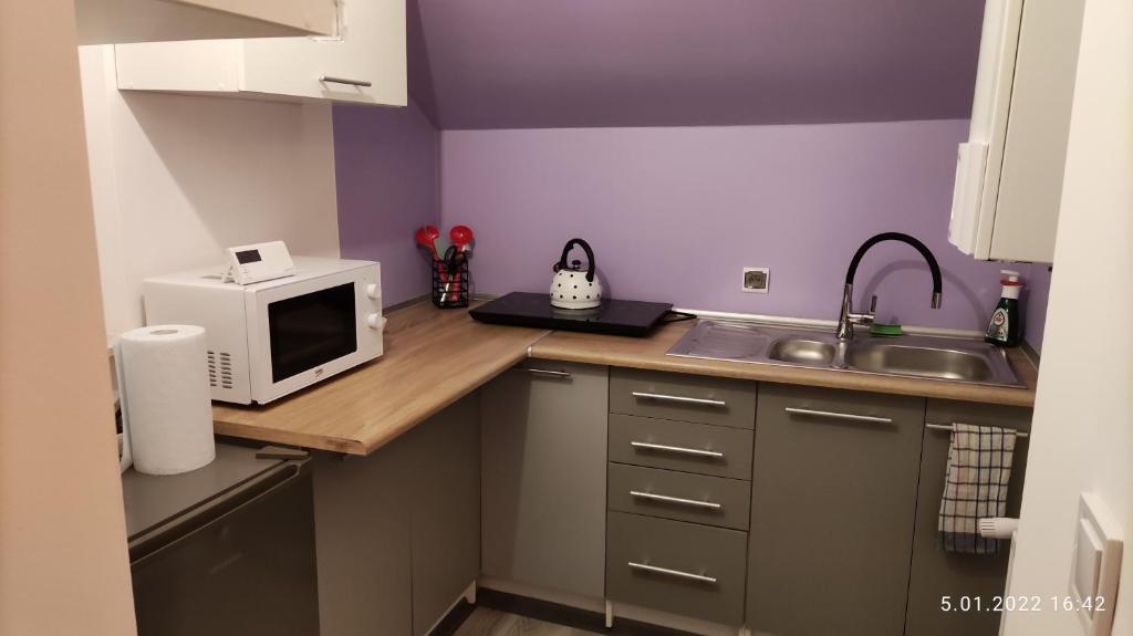 Kuchyňa alebo kuchynka v ubytovaní Apartament "Jeleń" Jelenia Góra - Cieplice