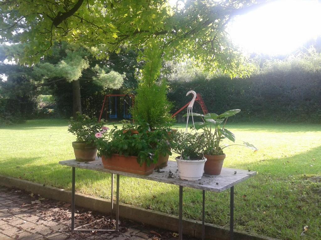 Giardino di Bed and Breakfast Miotto
