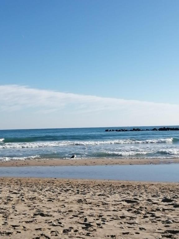 Fotografia z galérie ubytovania Apartamento en primera línea de mar con piscina v destinácii Cubelles