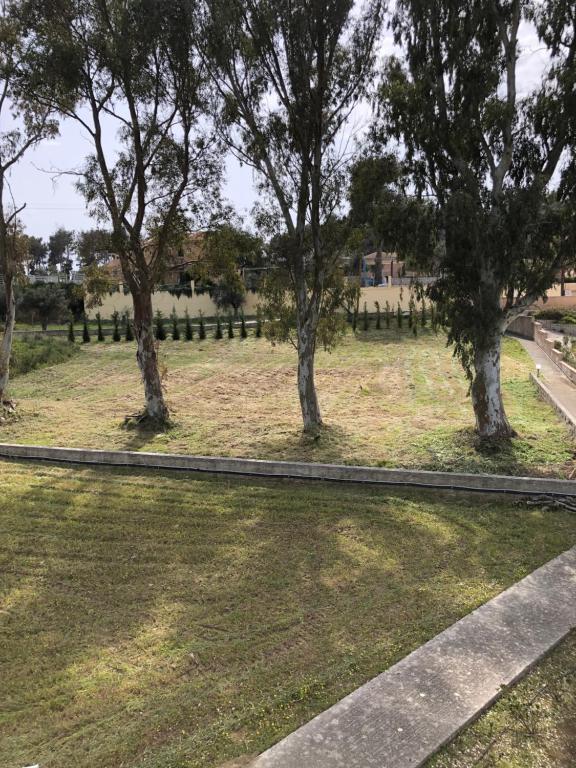 a group of trees in a field with a road at Aloni Studios and Apartments in Lassi