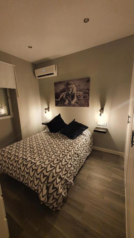 Alojamiento Turístico La Terraza de Córdoba - 13