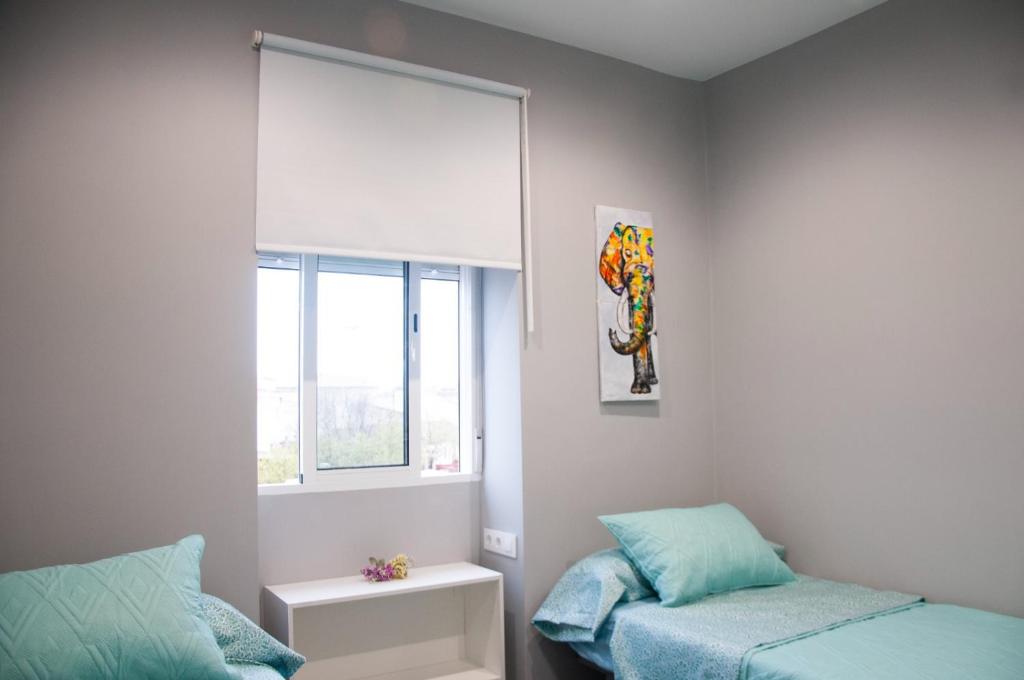 Alojamiento Turístico La Terraza de Córdoba - 15