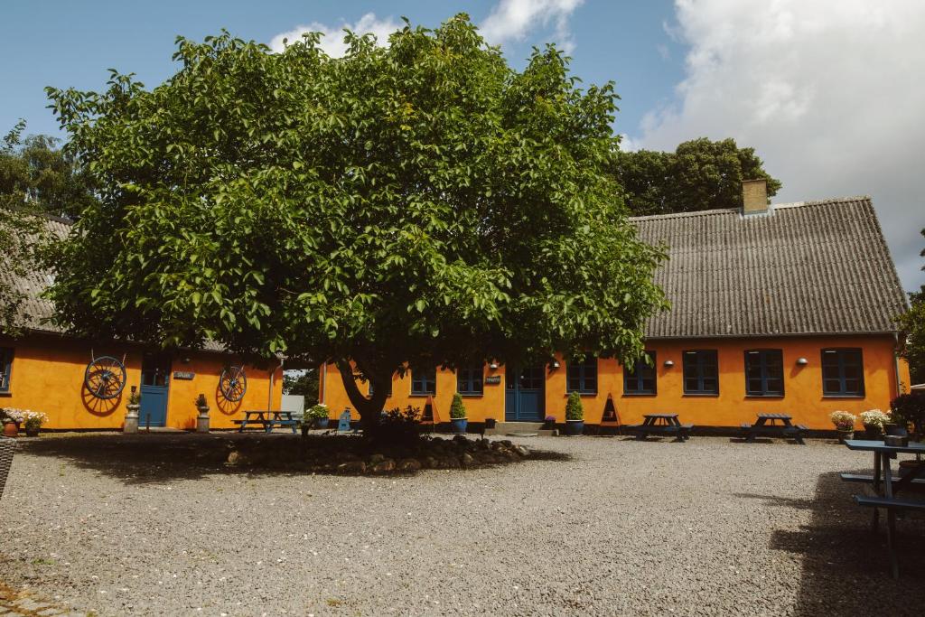 a yellow building with a tree in front of it at Stevns Klint Bed & Breakfast in Store Heddinge