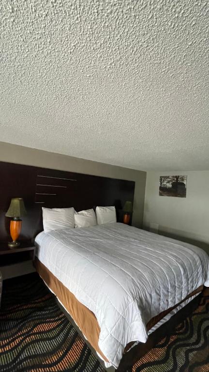 Country Town N' Suites photo