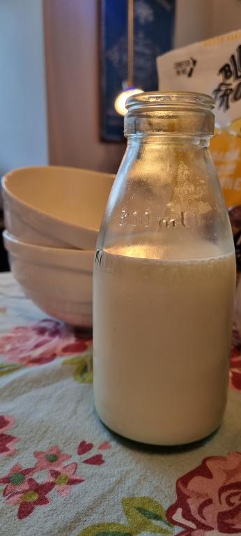 The Bungalow - Resim 11