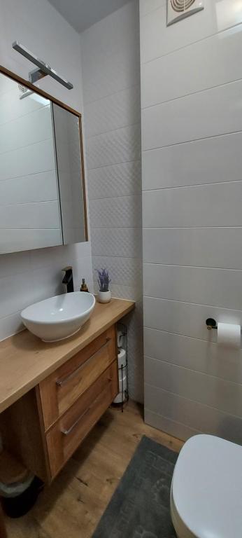 Kúpeľňa v ubytovaní Apartament Piastowska