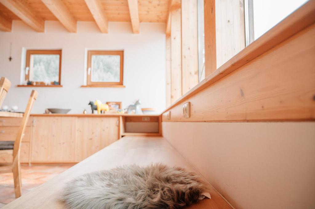 Fotografie z fotogalerie ubytování Reiterhof Berggut Gaicht v destinaci Nesselwängle