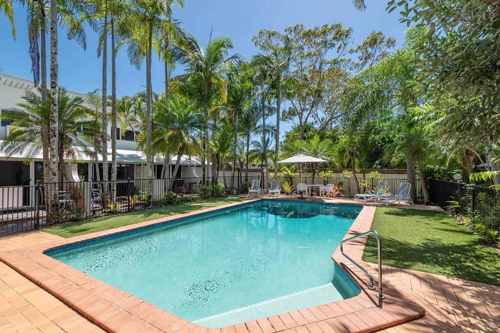 een zwembad in een tuin met palmbomen bij Caribbean Noosa in Noosa Heads