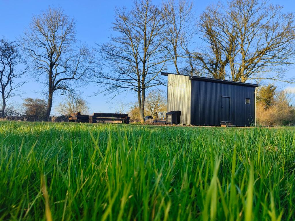 a black shed in a field with grass and trees at The Water Shack - Amazing tiny house retreat in Woodbridge