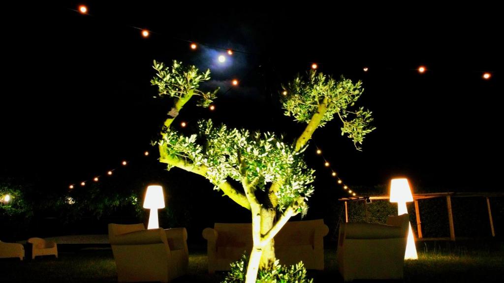 Zahrada ubytování Sotto Il Cielo Hotel