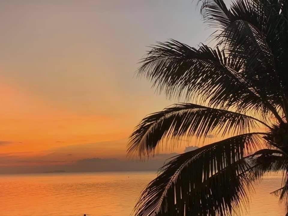 a palm tree on the beach at sunset at Kobe's Beachfront Haven in Siquijor