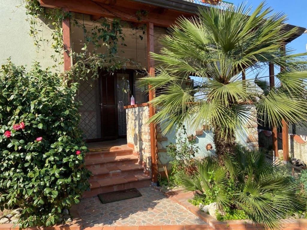 een huis met een palmboom voor een deur bij Casa Nonna Bianca- appartamento pratico a pochi minuti da Napoli in Casalnuovo di Napoli