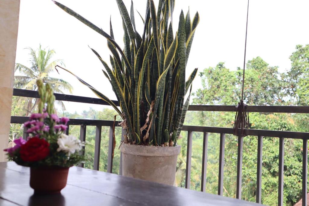 Balkón nebo terasa v ubytování Wijaya Guest House Ubud
