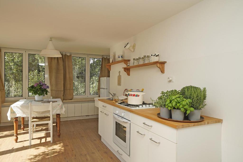 Kuchyňa alebo kuchynka v ubytovaní Casa Romantico Eden - Gardagate