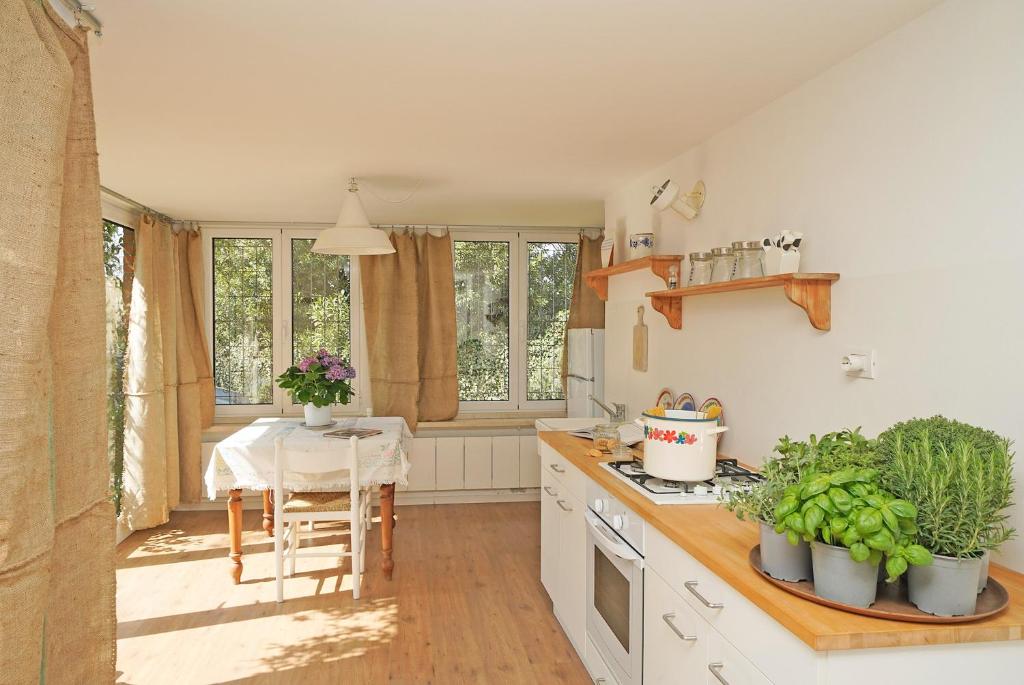Kuchyňa alebo kuchynka v ubytovaní Casa Romantico Eden - Gardagate