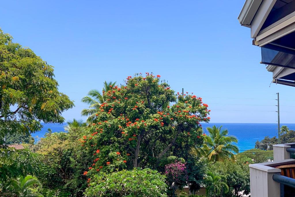 A Little Aloha في كيلوا كونا: شجرة بها زهور حمراء أمام المحيط