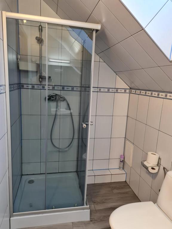 Kúpeľňa v ubytovaní Willa Storczyk