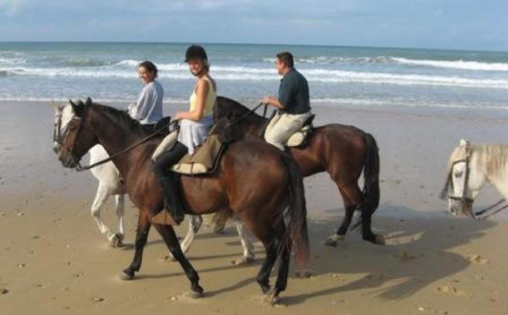 Booking.com: Hostal o pensión Casa Pacheco , Conil de la ...
