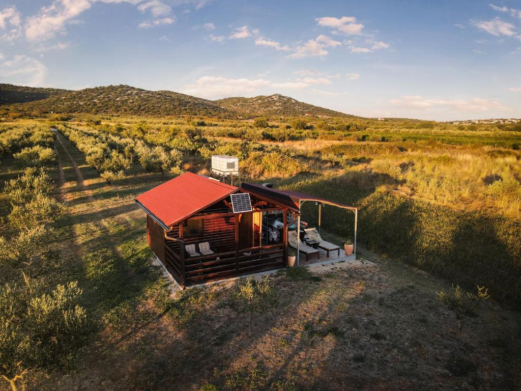 Robinson house Orkula in the heart of olive\