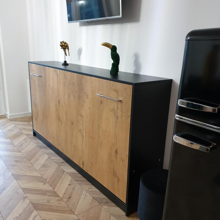 Kuchyňa alebo kuchynka v ubytovaní Morfeusz Apartamenty Księcia Witolda