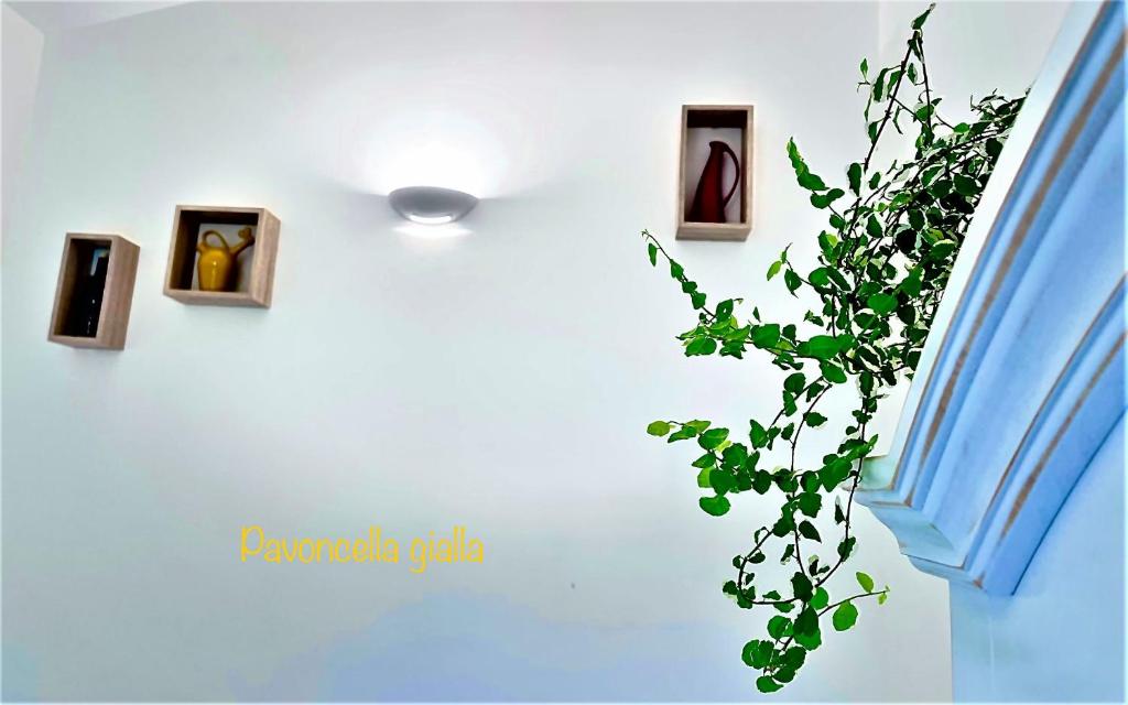 Fotografija v galeriji nastanitve B&B Le pavoncelle sarde v mestu Flumini di Quartu
