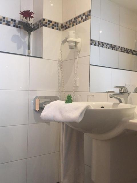 Alexander am Zoo - Resim 35