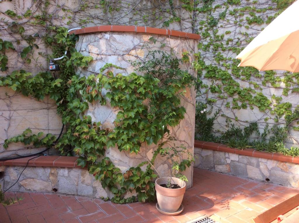 Zahrada ubytování Tra mare e bosco nella splendida Quercianella
