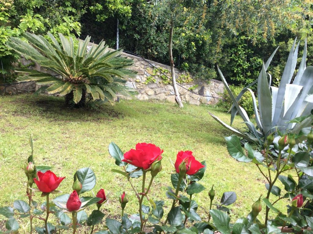 Zahrada ubytování Tra mare e bosco nella splendida Quercianella