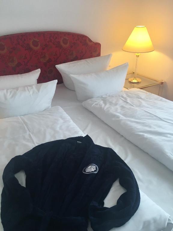 Alexander am Zoo - Resim 14