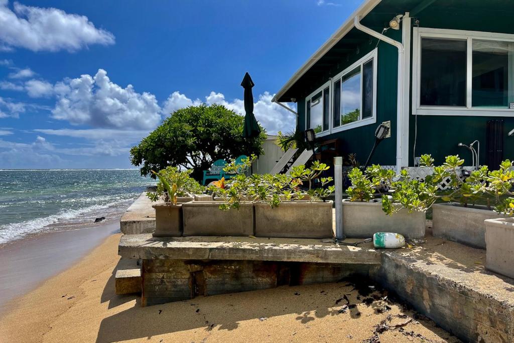 Sea Turtle Cottage, Laie (updated prices 2024)