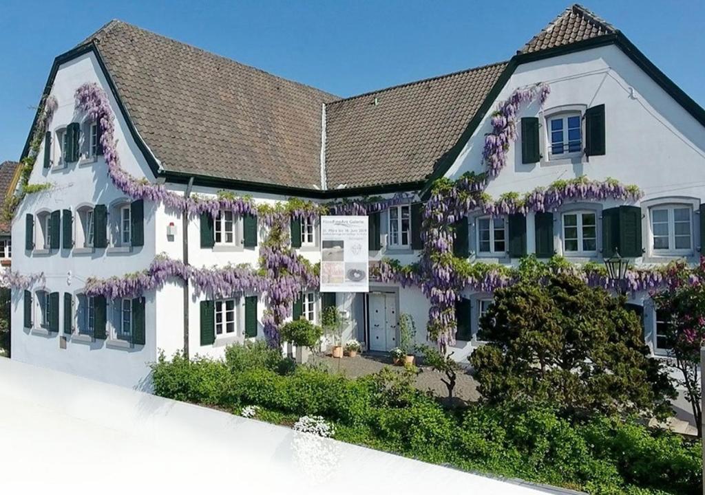 Rhein River Guesthouse - direkt am Rhein في ليفركوزن: منزل أبيض مغطى بالويتريا الأرجوانية