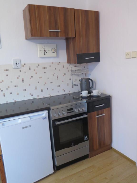 Kuchyň nebo kuchyňský kout v ubytování Apartman Hruba Skala