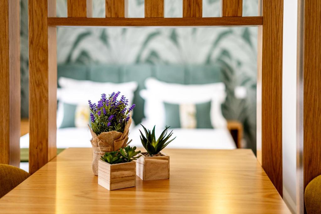 Mouzinho 129 - Medronheiro & Oliveira - 3