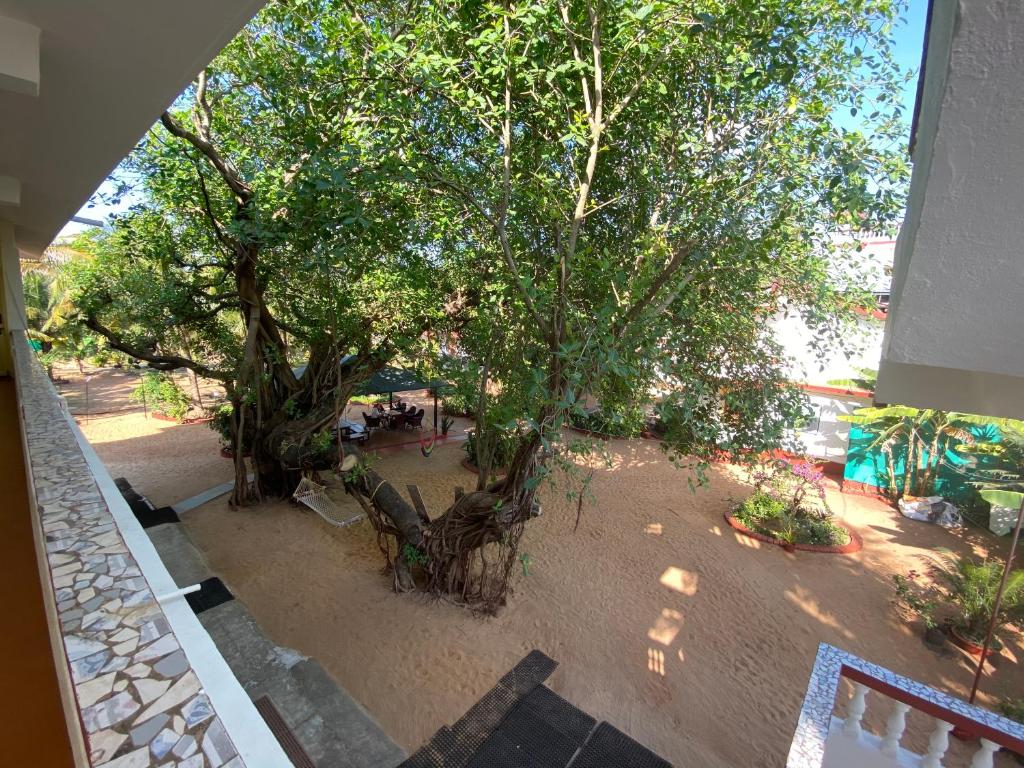 Zahrada ubytování Dmellos Sea View Home
