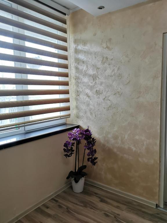 Fotografie z fotogalerie ubytování Apartment Ruža v destinaci Kladovo