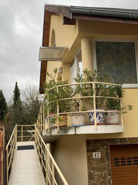 ein Gebäude mit einem Balkon mit Topfpflanzen darauf in der Unterkunft Apartmán u Doktora in Banská Bystrica