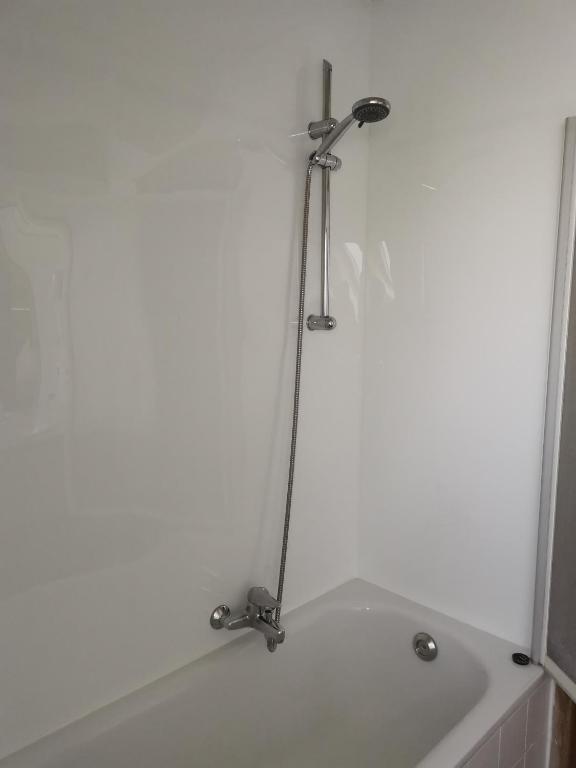 a bath tub with a shower in a bathroom at Hotel Albert II Oostende in Ostend
