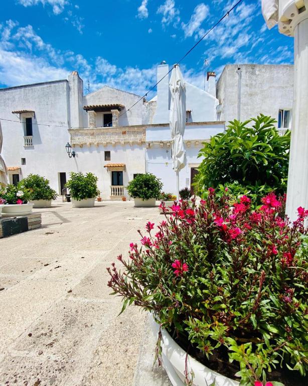 Zdjęcie z galerii obiektu La casa di Antonio w mieście Felline