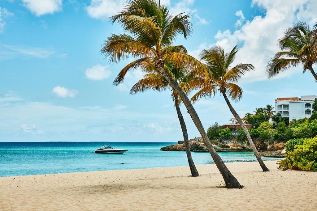 two palm trees on a beach with a boat in the water at Malliouhana Resort Anguilla in Meads Bay